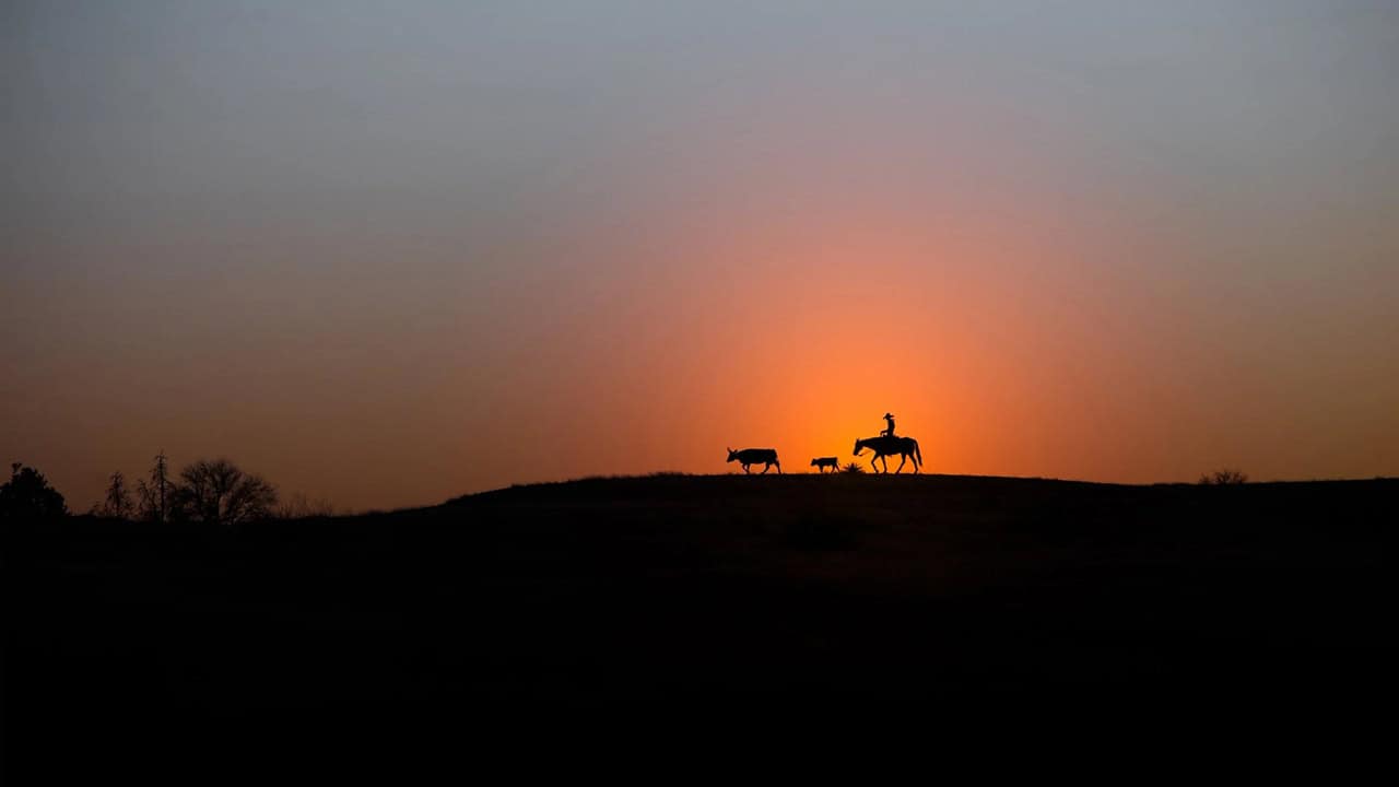 Silhouettes of horseback riders and cattle at sunset in Meeteetse, Wyoming.