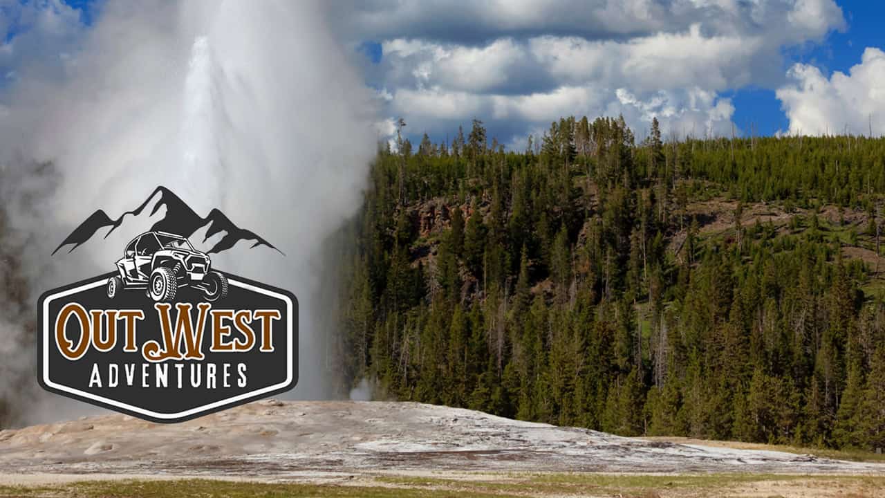 Geyser erupting in Yellowstone with forest and blue sky background.